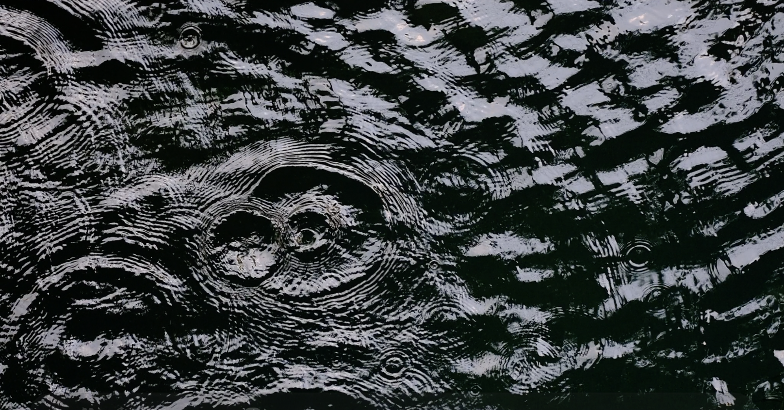 Big detailed video (may take a while to download)